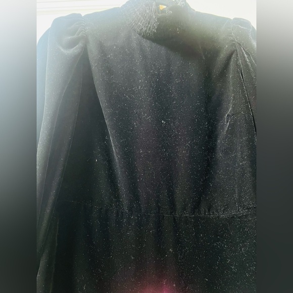 NWT Zara Black velvet Bishop Sleeve Mock Neck Cocktail Dress - Picture 7 of 8